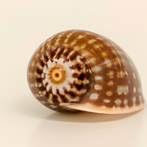 海螺型材