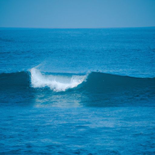 波浪板