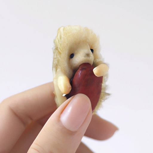 毛绒玩具品牌