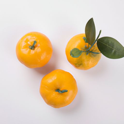 柑橘