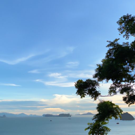 海绵是哪个国家的最好